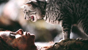 movie image