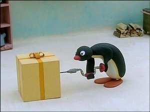 Pingu Pingu is Curious