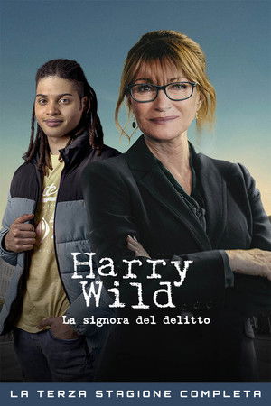 Harry Wild - La signora del delitto: Stagione 3