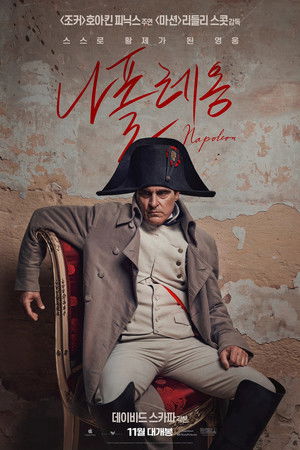 poster Napoleon