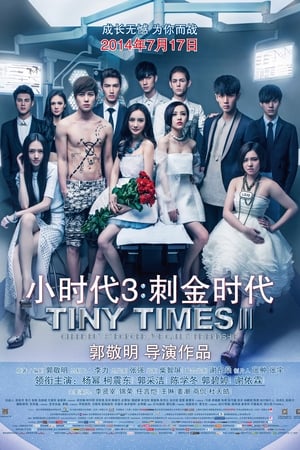 Poster Tiny Times 3 2014