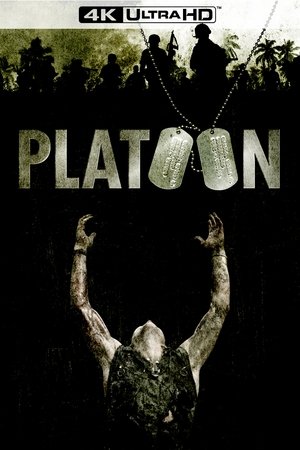 poster Platoon