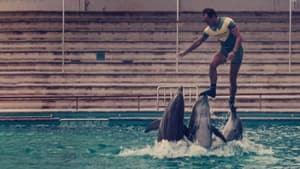 ¿Qué le pasó al rey de los delfines?