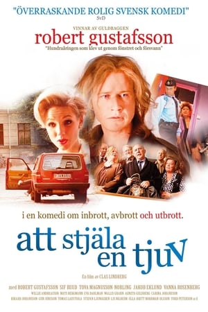 Poster To Steal a Thief 1996