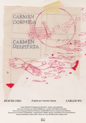 Poster Carmen asleep, Carmen awake (2019)