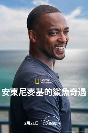 安東尼麥基的鯊魚奇緣