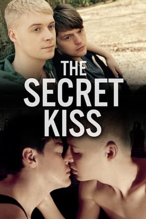 Poster The Secret Kiss (2017)