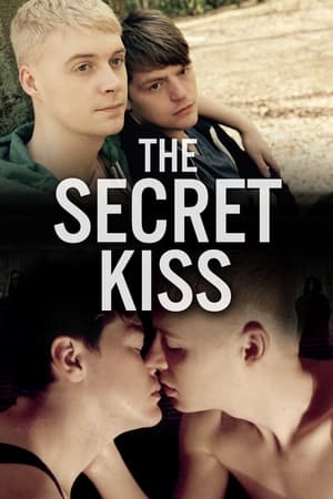 Poster The Secret Kiss 2017