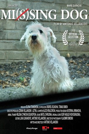 Poster Mi(s)sing Dog (2019)