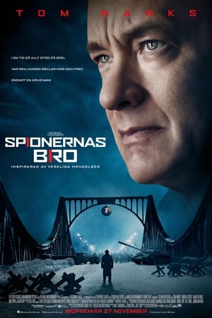 Spionernas bro (2015)