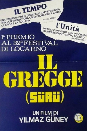Image Il gregge