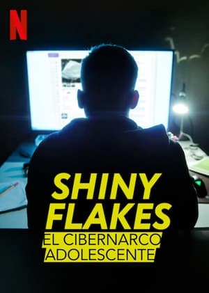 Poster Shiny Flakes: El cibernarco adolescente 2021