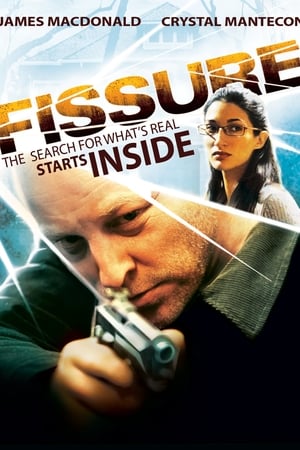 Poster Fissure (2011)