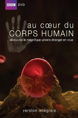 Au cœur du corps humain