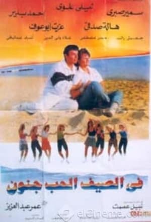 Poster في الصيف الحب جنون 1995