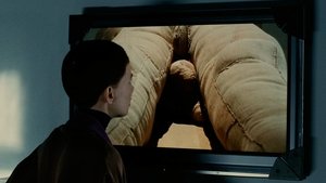 The Skin I Live In (2011)