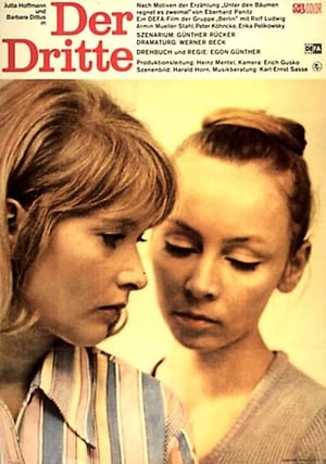 Poster Her Third (1972)