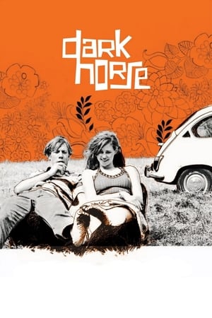 Poster Dark Horse (2005)