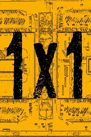 1x1