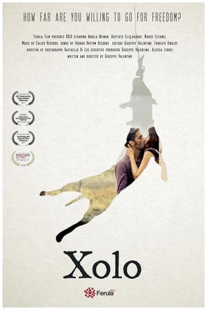 Poster Xolo (2017)