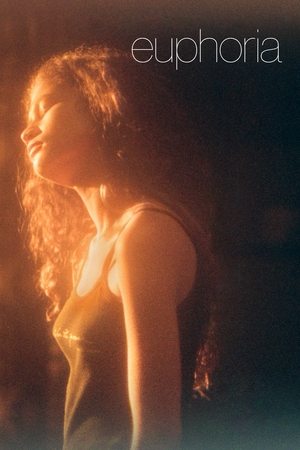 Euphoria US S01 1080p WEBRip x265 HiQVE