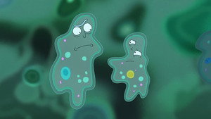 Rick e Morty: 9×7