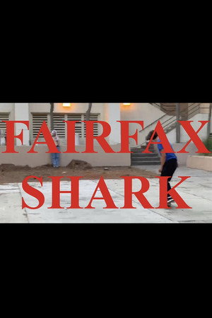 Fairfax Shark