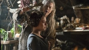 Vikings: Saison 5 Episode 18