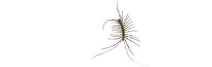 Mom — Logos 2