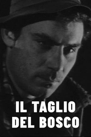 Il taglio del bosco 1963