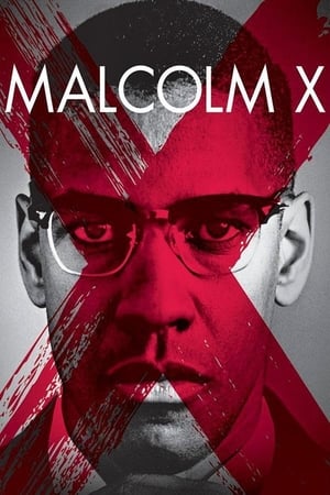 Poster Malcolm X 1992