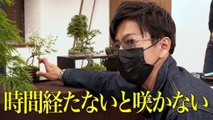 Takuya Kimura, first rejection! Bonsai and Takuya boy