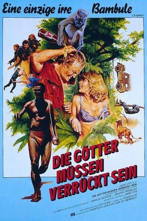 Die Götter müssen verrückt sein (1980)