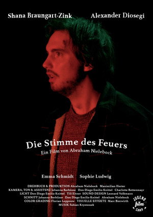 Die Stimme des Feuers 7