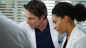 Grey’s Anatomy 13 x Episodio 14