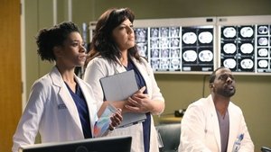 Grey’s Anatomy: Season 11 Episode 15