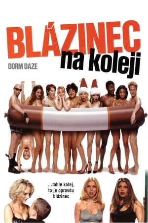 Poster Blázinec na koleji 2003