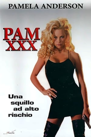 Poster Indagine ad alto rischio - Pam XXX 1994