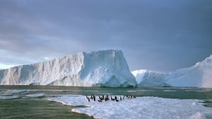 À la découverte de l'Antarctique