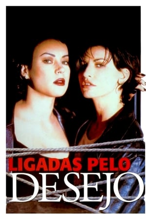 Poster Sem Limites 1996