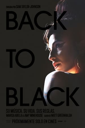 Poster Back to Black 2024