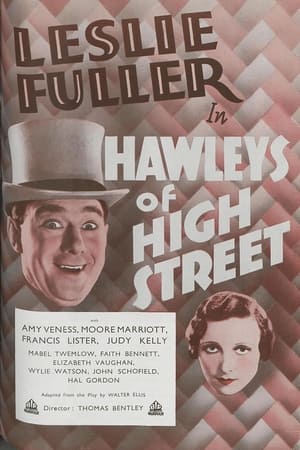 Poster Hawleys of High Street 1933