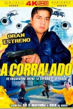 Acorralado