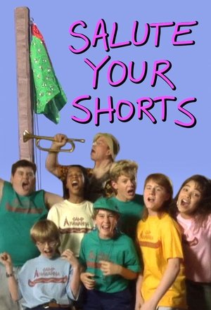 Salute Your Shorts poster