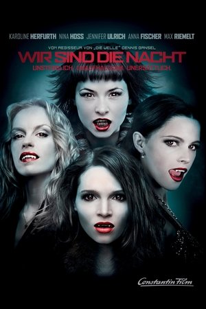 Poster Wir sind die Nacht 2010