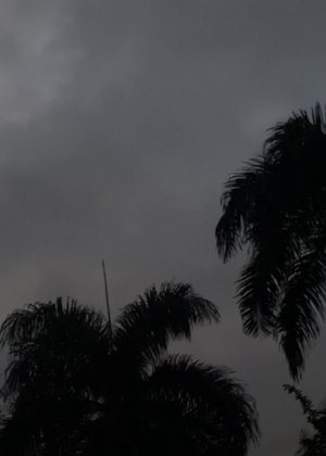 Ínsito