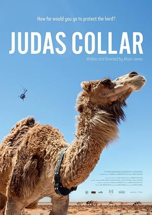 Poster Judas Collar (2018)