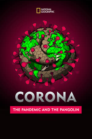 Poster Corona: The Pandemic and the Pangolin (2020)