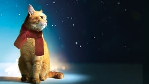 A STREET CAT NAMED BOB (2016) บ๊อบ แมว เพื่อน คน