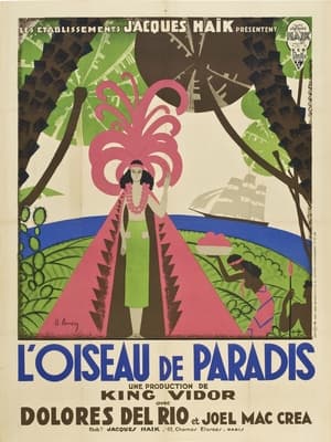 Image L'oiseau de paradis